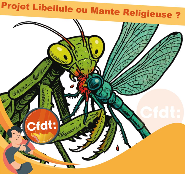 Boutique Orange Mai 2025 : Projet Libellule ou Mante Religieuse ?